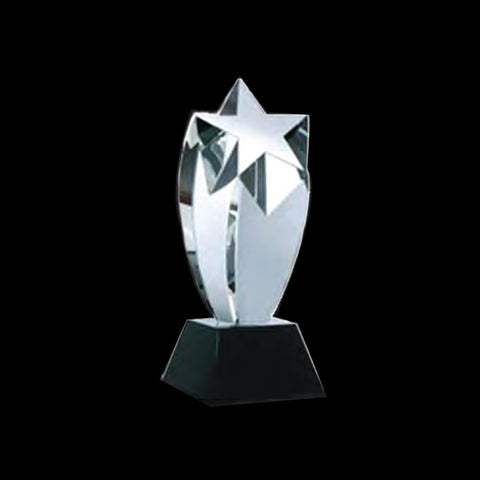 Rising Star Award